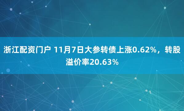 浙江配资门户 11月7日大参转债上涨0.62%，转股溢价率20.63%