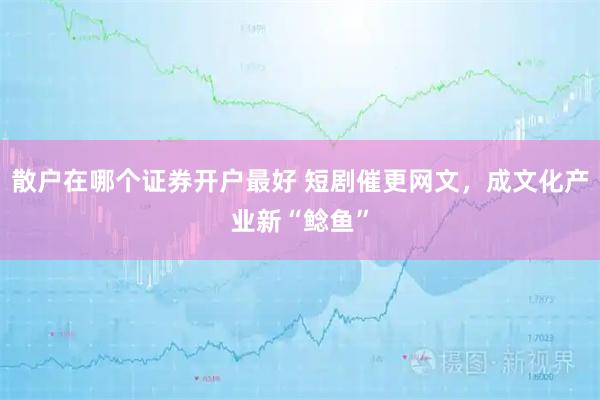 散户在哪个证券开户最好 短剧催更网文，成文化产业新“鲶鱼”