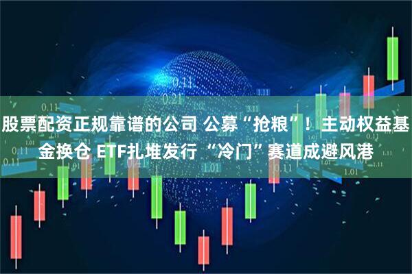 股票配资正规靠谱的公司 公募“抢粮”！主动权益基金换仓 ETF扎堆发行 “冷门”赛道成避风港